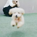 Yolanda_In - 이 지금