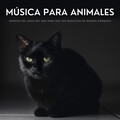 Colectivo De Música Para Perros、Perritos Fantásticos、Dormir Ayuda - Siesta, Siesta, Siesta