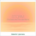 Storm (The Swan and the Lake Remix)