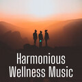 Harmonious Wellness Music