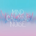 The White Noise Travelers、101 Noise、Pink Noise Therapy - Shouting
