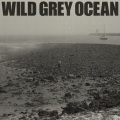 Wild Grey Ocean (Explicit)