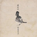 龍猛寺寬度 - 雁丘词