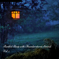 Sleep Music Guys、Sleep Music System、Rain Noise Sleep - Pattern Around