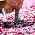Asian Zen Spa Music Meditation - Grateful Temple