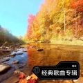 简单 - 我的思念为谁浓