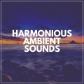 Amazing Spa Music - Release Stress