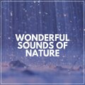 The Sound of the Rain - Delightful Rain