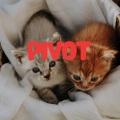 Pivot、Shalva Band - Iam Sorry Ilove You