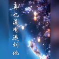 紫凝 - 再也没有遇到他