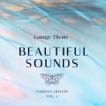 Steen Thottrup、Denver Knoesen - Rising Like The Sun