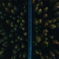 酣子 - 遗书