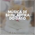 Música De Brincadeira Do Gato