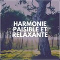 Harmonie Paisible Et Relaxante