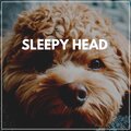 Sleepy Head