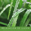Música de relajación profunda、Sueño Encantado - Cuencos Tranquilos