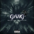 Gang (feat. Dirty_Chainz Roxtar Steven & TDS)(Explicit)