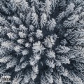 Neige (feat. Ciflow)(Explicit)