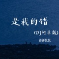 铁锤妹妹 - 是我的错 (remix: 王佳杨)