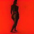 LOVESSEVOL - Bald