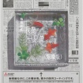 铁锤妹妹 - 我是一只鱼