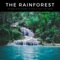 The Rainforest: The Best River Sounds To Read & Study For Hours