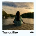 Tranquilize