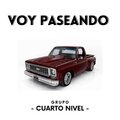 Grupo Cuarto Nivel - Voy Paseando