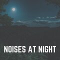 Noises At Night