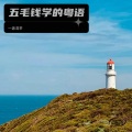 一盏清茶 - 光辉岁月