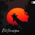 Nature Sounds - Calm Nature Moments, Pt. 11