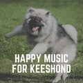 Dog Relaxation - Daycare