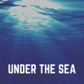 Relaxing Ocean Sounds - Ooze Ocean