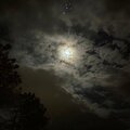 XICO - rain (Explicit)
