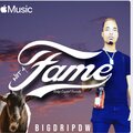 NOT 4 FAME (Explicit)