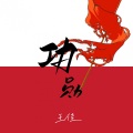 王佳 - 功勋