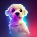 Calming Music for Dogs、Calming for Dogs、Official Pet Care Collection - Life Is Beautiful