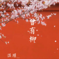 仄言 - 曾有柳