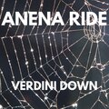 VERDINI DOWN