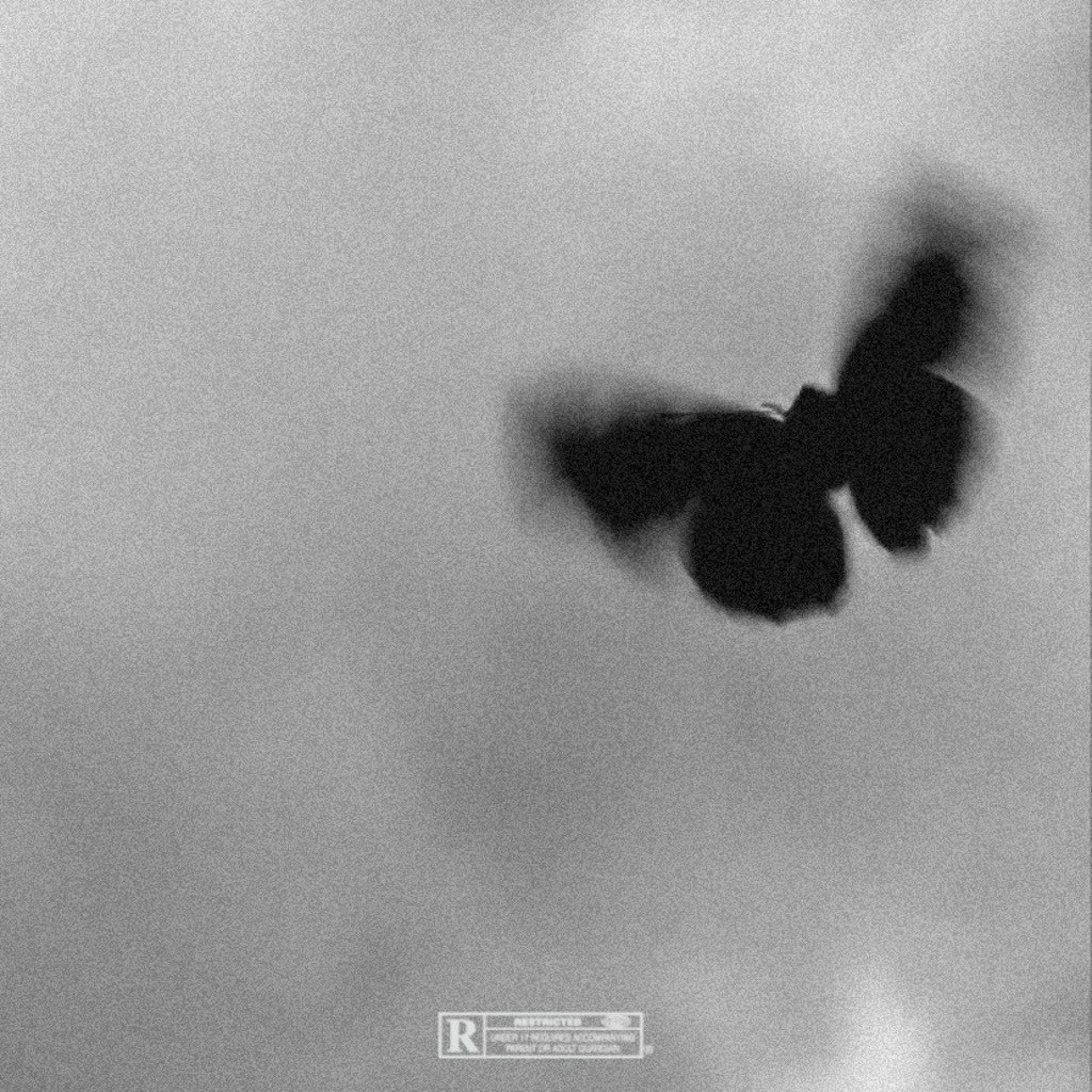 HAMO - Papillon de nuit (Explicit)