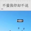 渣渣 - 不爱我你却不说