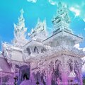 Higher Self、Jason Evans - Love Freq 263 HZ