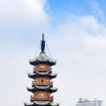 金薇婷 - 推荐