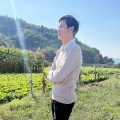 杨斌 - 来世绝不踏凡间