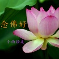 小雨轻柔 - 念佛好
