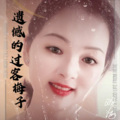 梅子 - 遗憾的过客