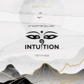 Intuition (Remixes)