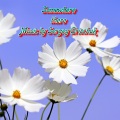 Sergey Grischuk - Somewhere there