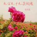 张钧豪 - 九百九十九朵玫瑰