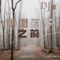 眼泪落下之前（DJ版）